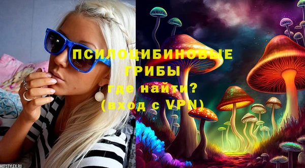 спиды Мегион