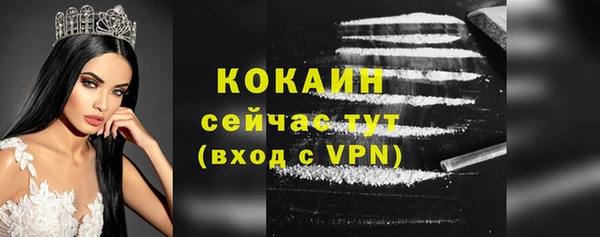 мяу мяу мука Медвежьегорск