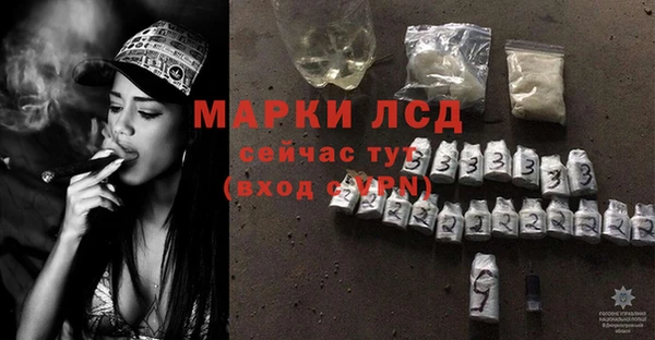 мяу мяу мука Медвежьегорск