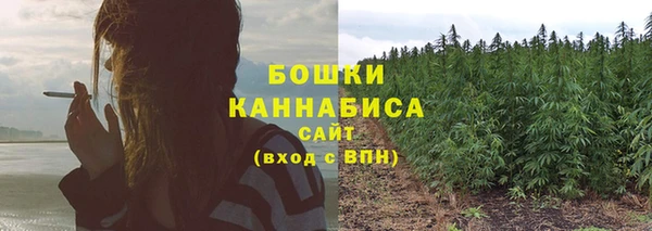 мяу мяу мука Медвежьегорск