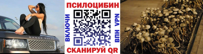 Галлюциногенные грибы Psilocybe  наркота  ОМГ ОМГ ССЫЛКА  Североморск 